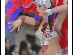 Carnaval de Mula 2014